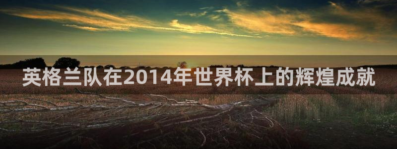2026世界杯倒计时:英格兰队在2014年世界杯上的辉煌成就