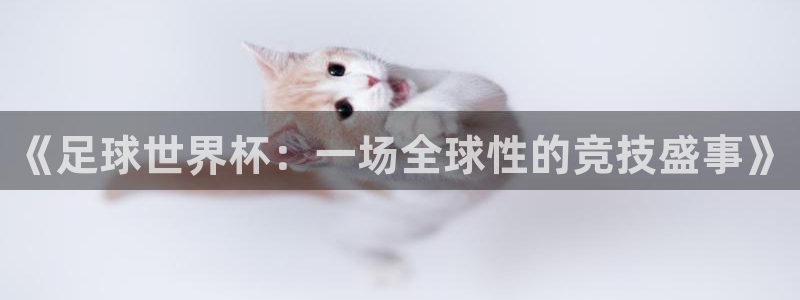 世界杯官网:《足球世界杯:一场全球性的竞技盛事》