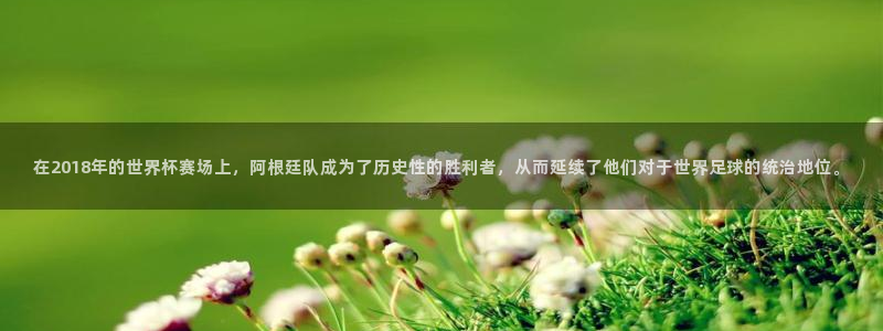 2026世界杯倒计时:在2018年的世界杯赛场上,阿根廷队成为了历史性的胜利者,从而延续了他们对于世界足球的统治地位。