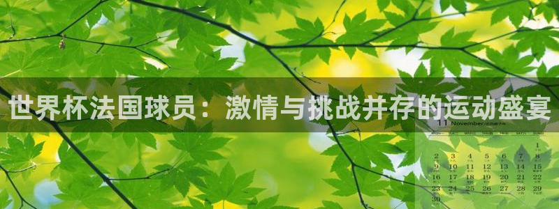 世界杯预选赛排名:世界杯法国球员:激情与挑战并存的运动盛宴