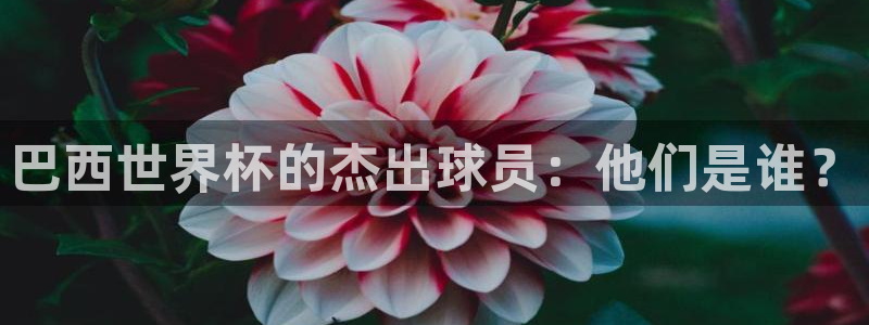 2026世界杯亚洲预选赛:巴西世界杯的杰出球员:他们是谁?