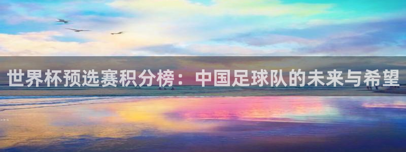 2026世界杯日期:世界杯预选赛积分榜:中国足球队的未来与希望
