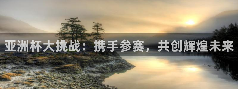 足球世预赛:亚洲杯大挑战:携手参赛,共创辉煌未来
