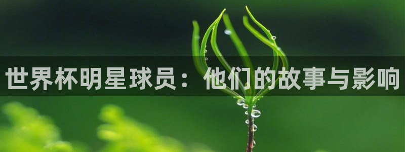 2026年世界杯时间表:世界杯明星球员:他们的故事与影响